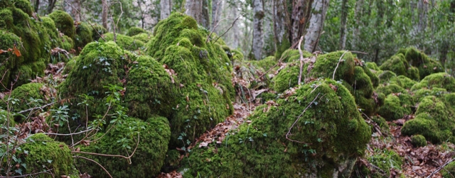  Natural landscape
